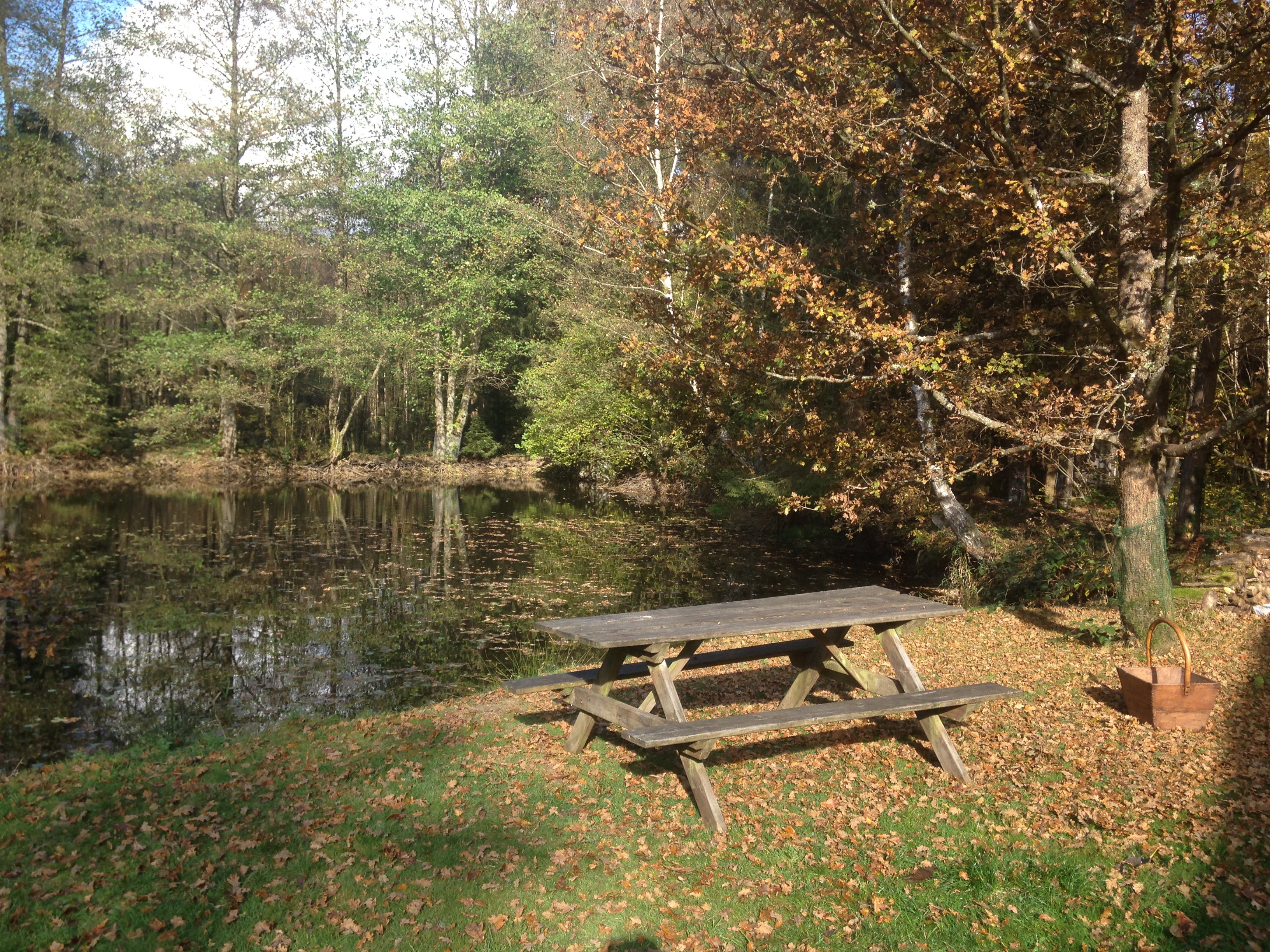 Natuurhuisje in Oignies-en-Thiérache