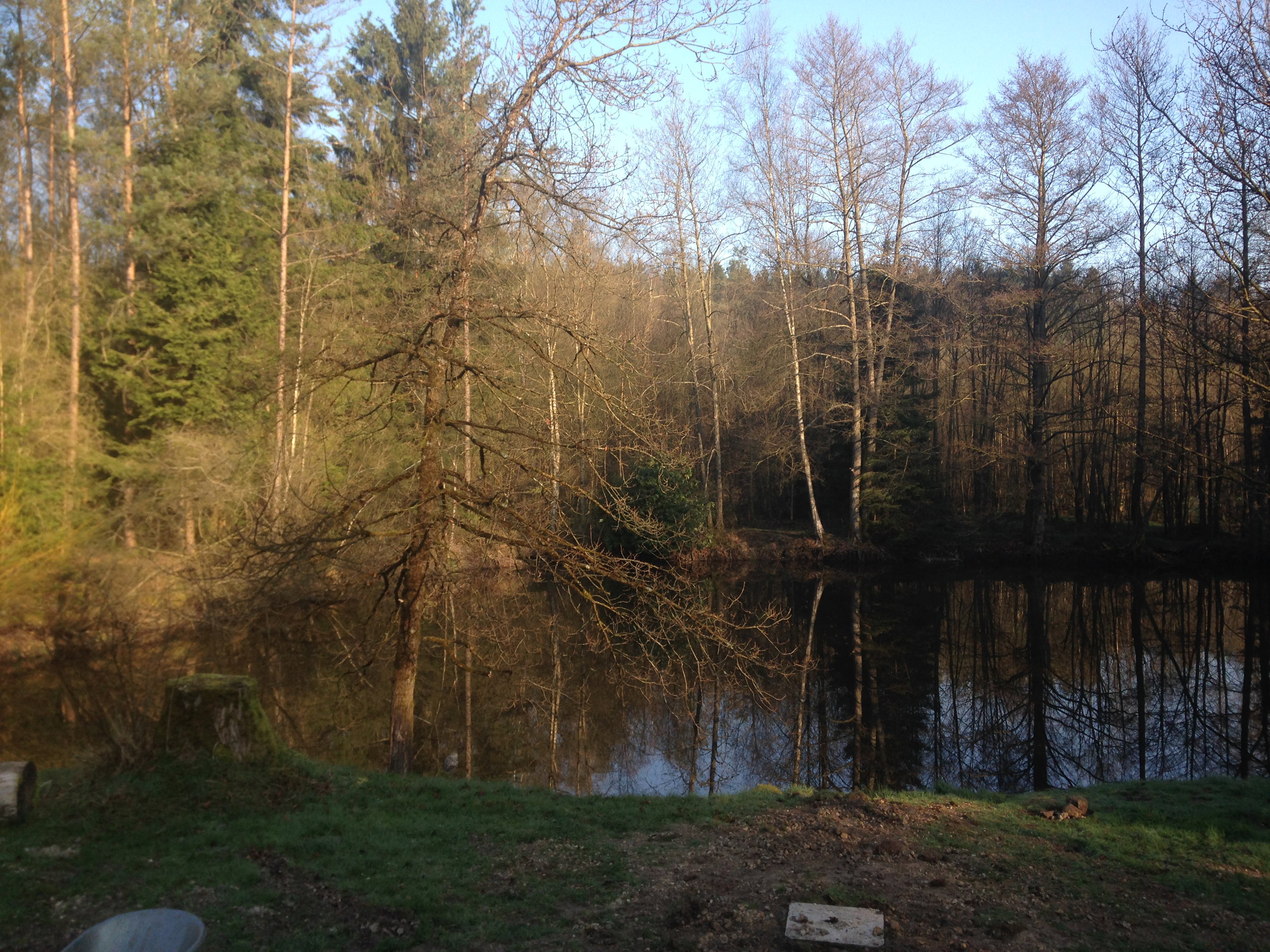 Natuurhuisje in Oignies-en-Thiérache