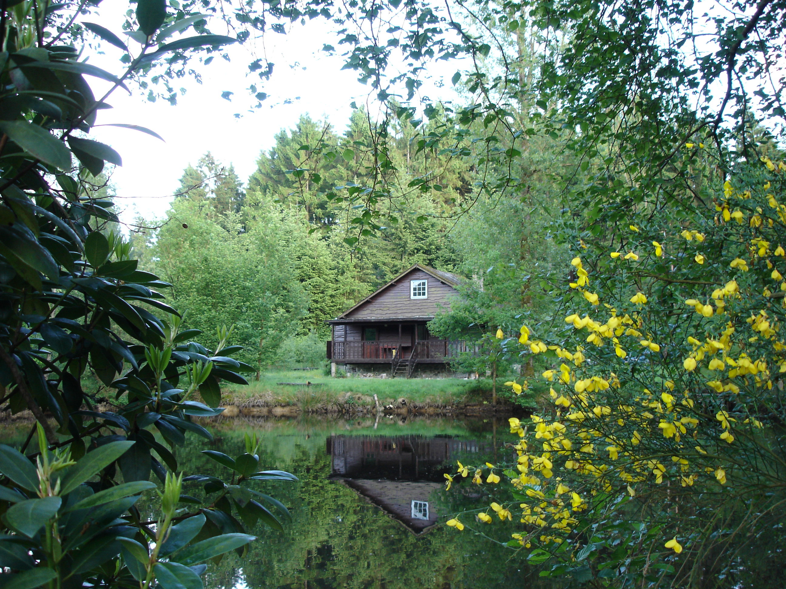 - image: 29
