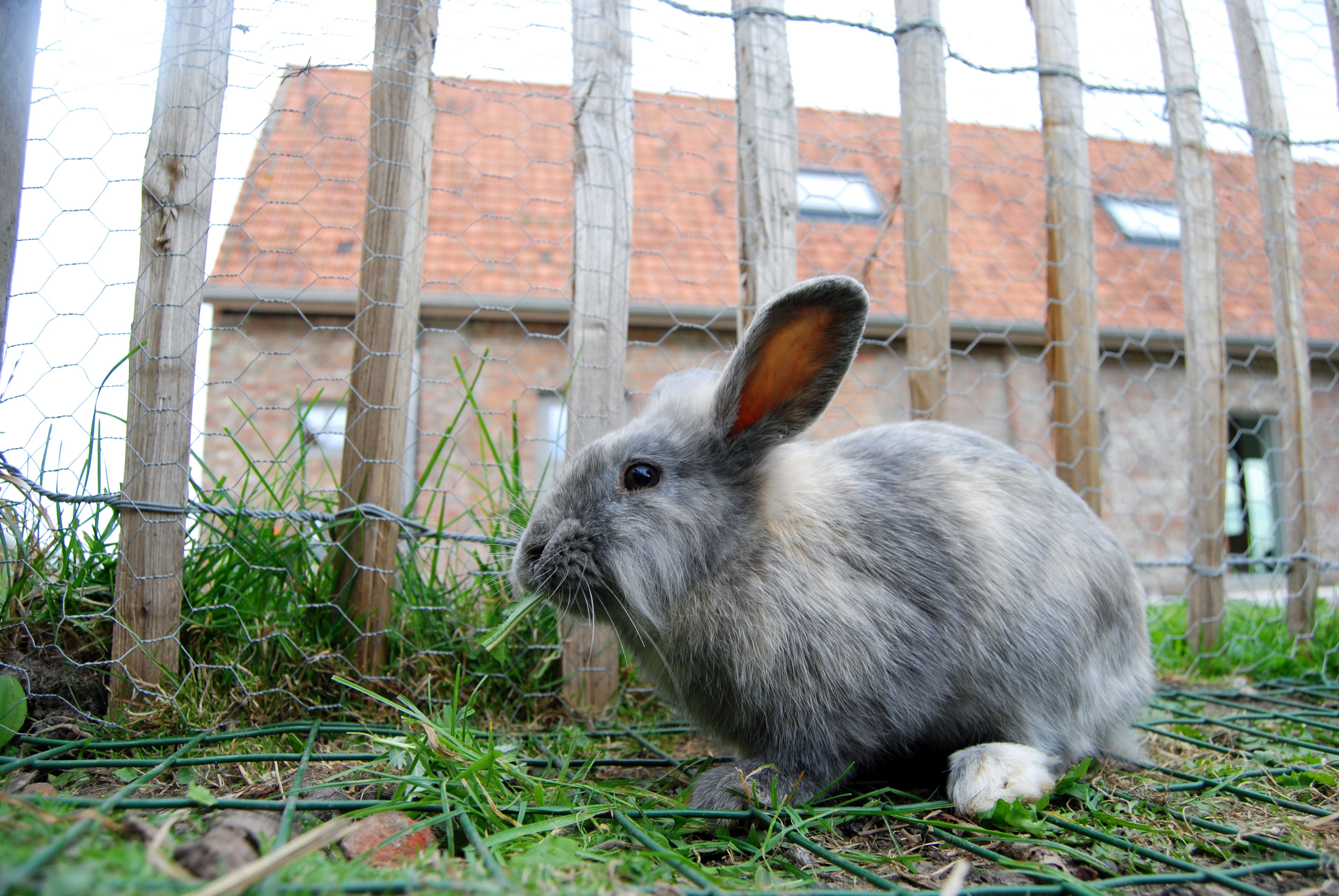 Naturhäuschen in Deerlijk