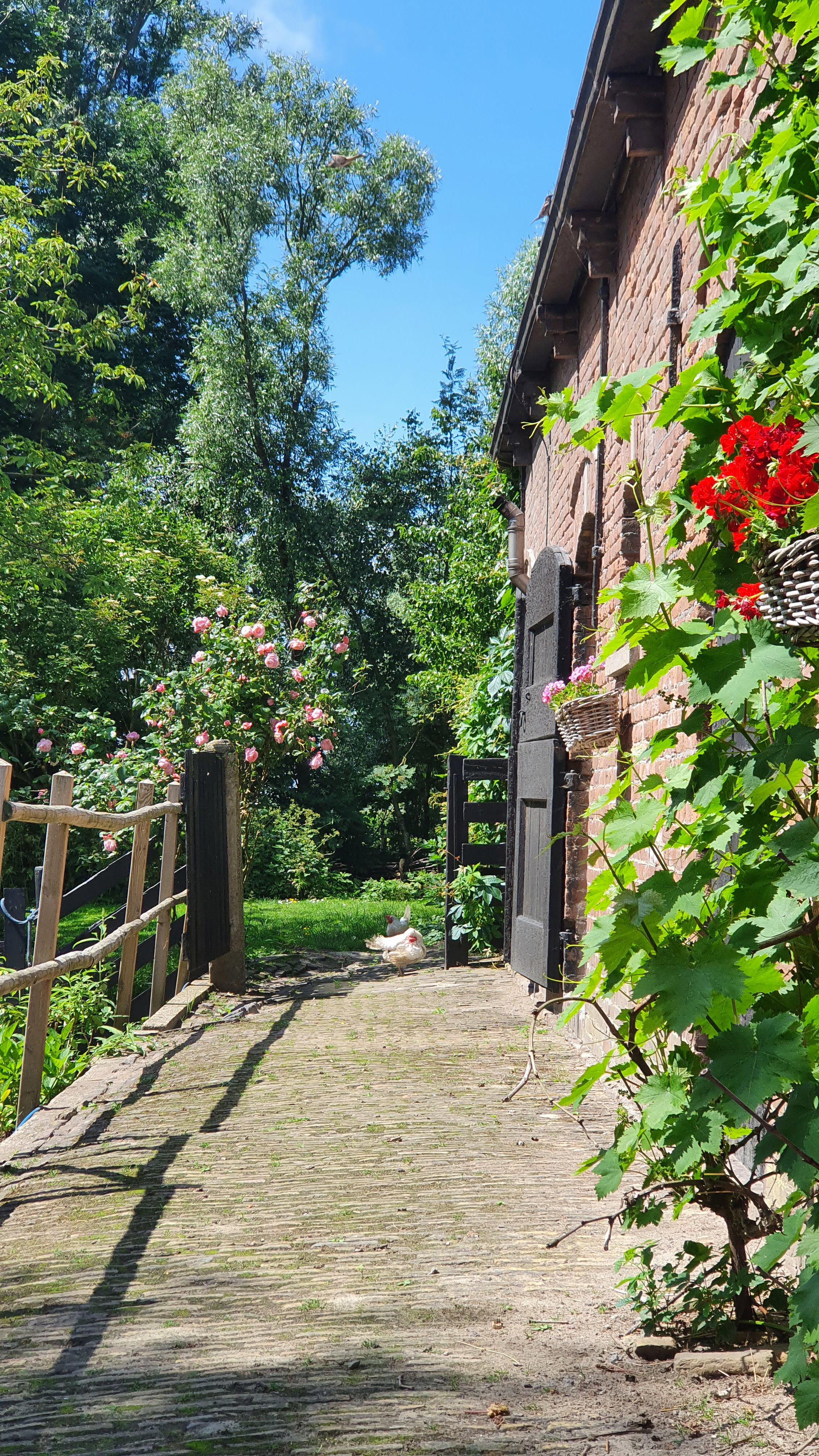 Natuurhuisje in Kerkwerve