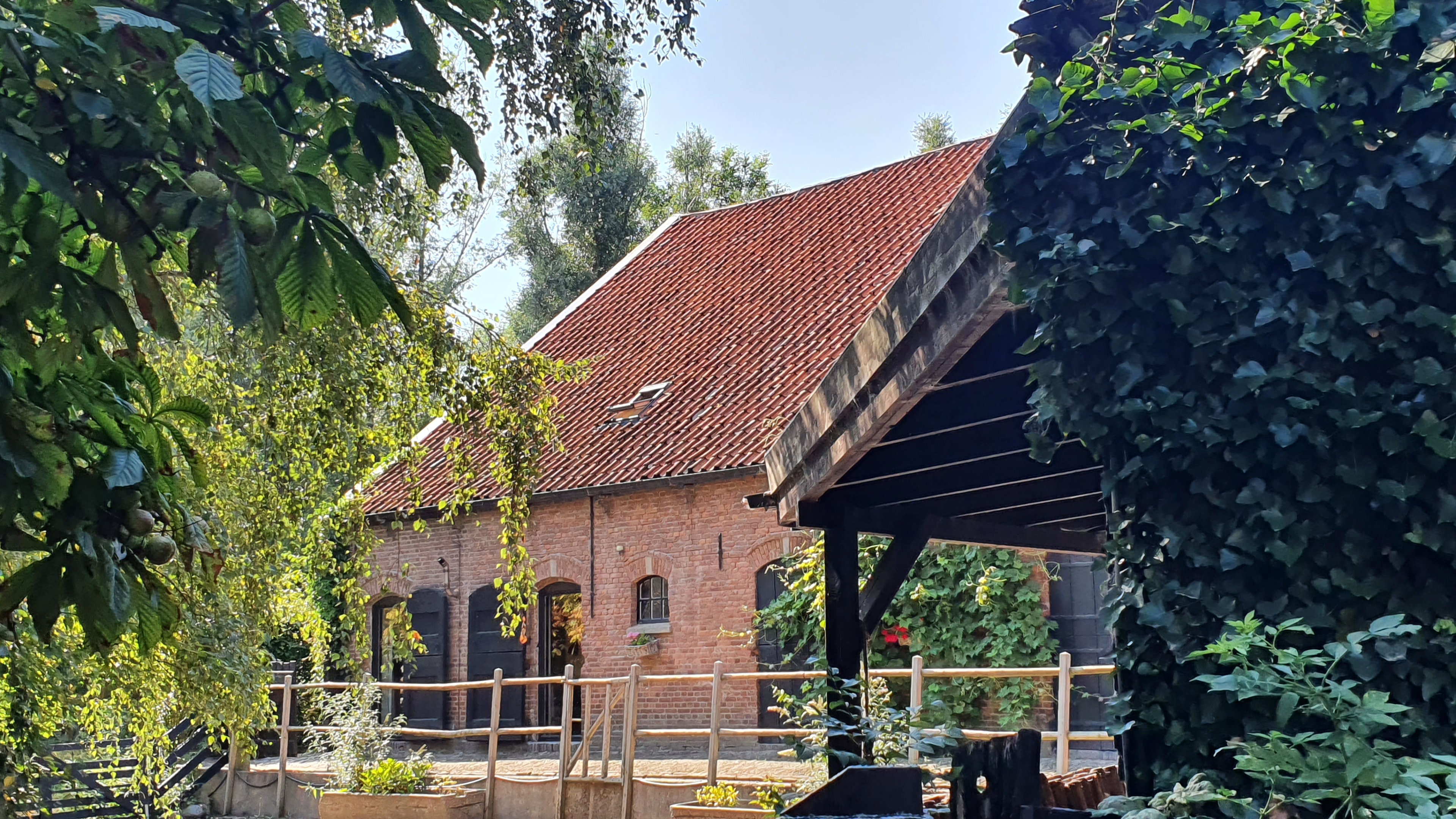 Natuurhuisje in Kerkwerve