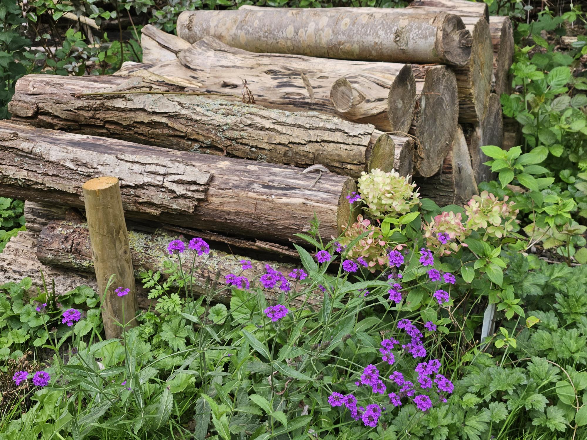 - image: 26