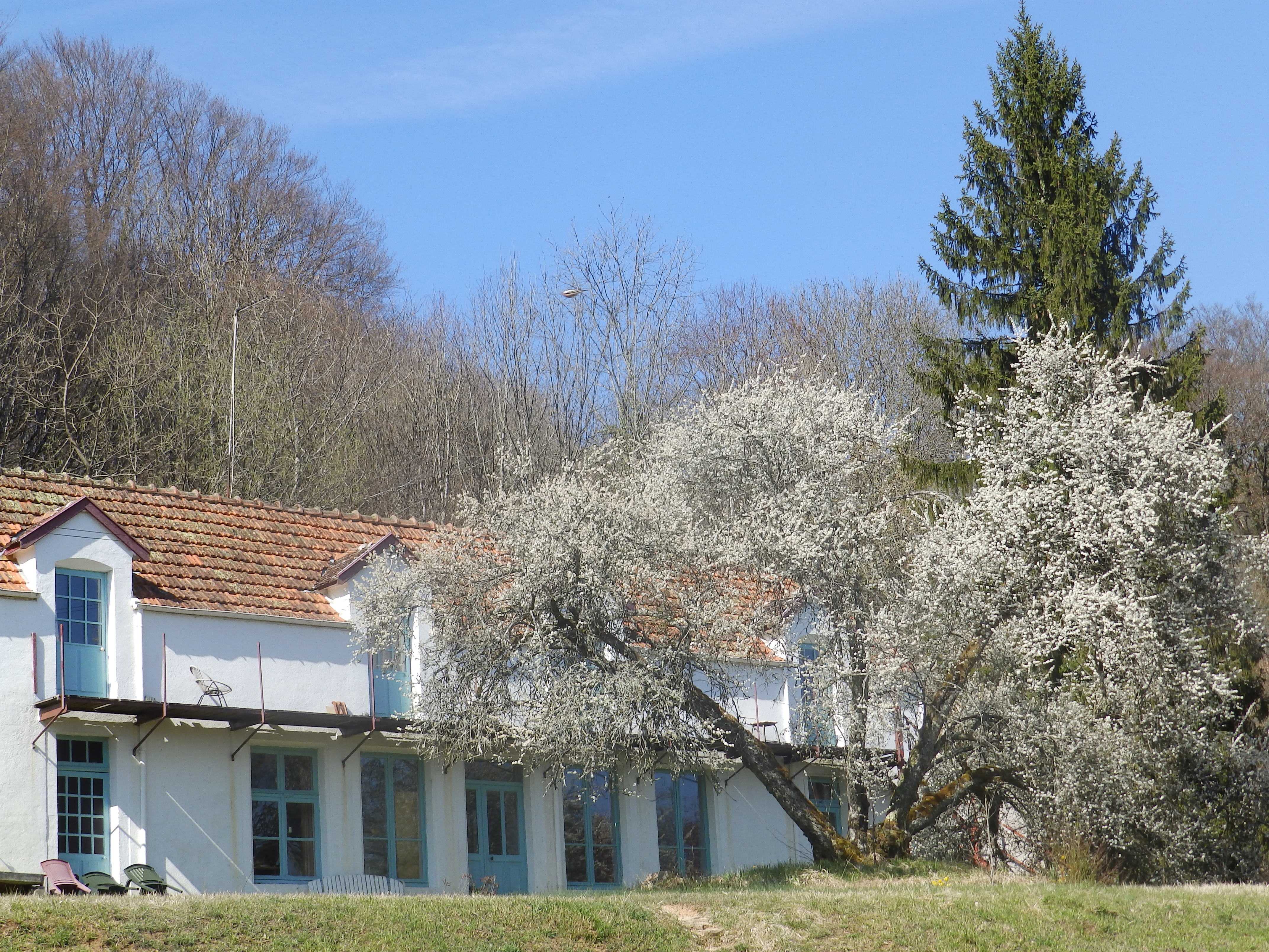 Casa nella natura a Foulain