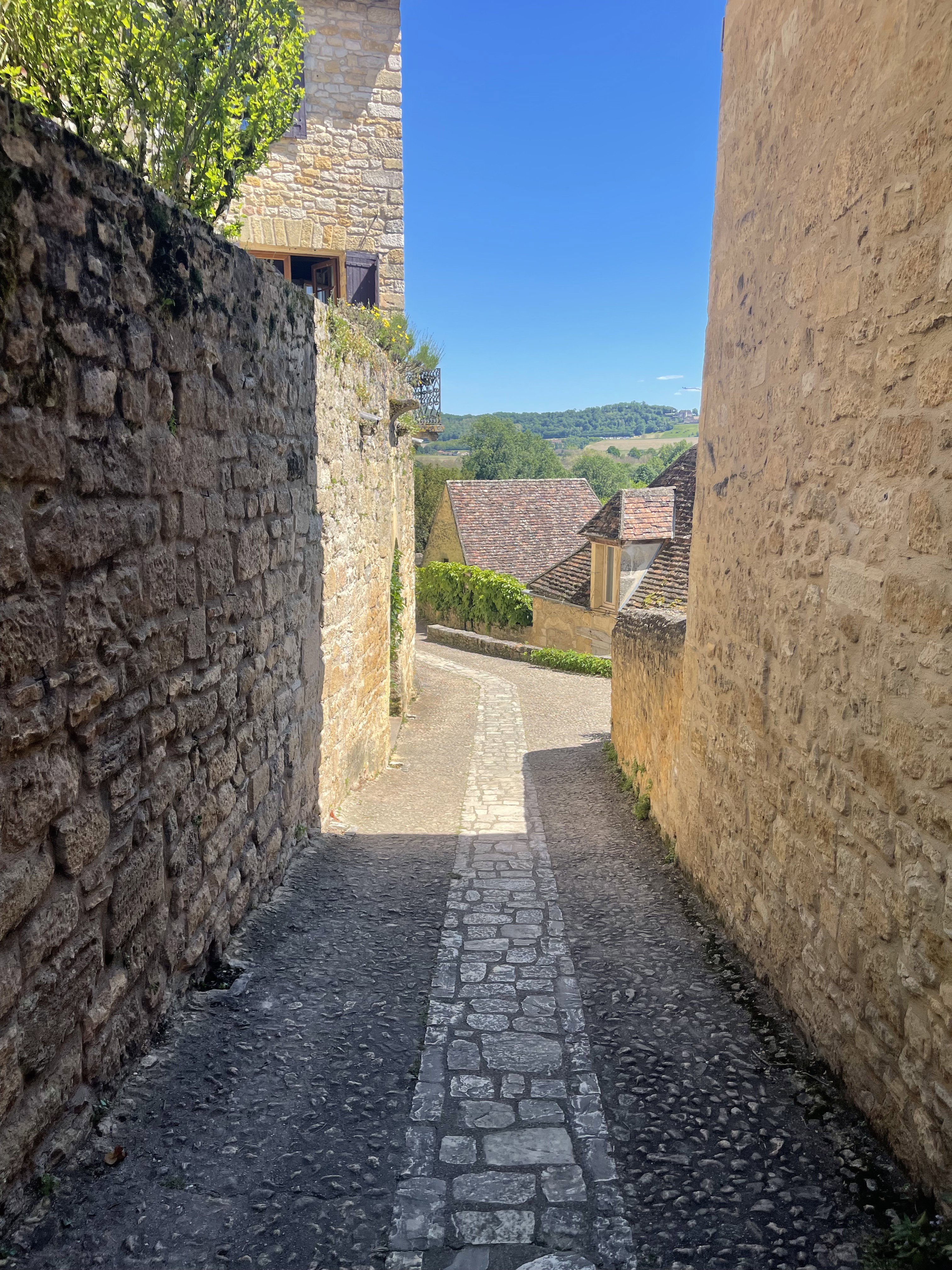 - image: 79