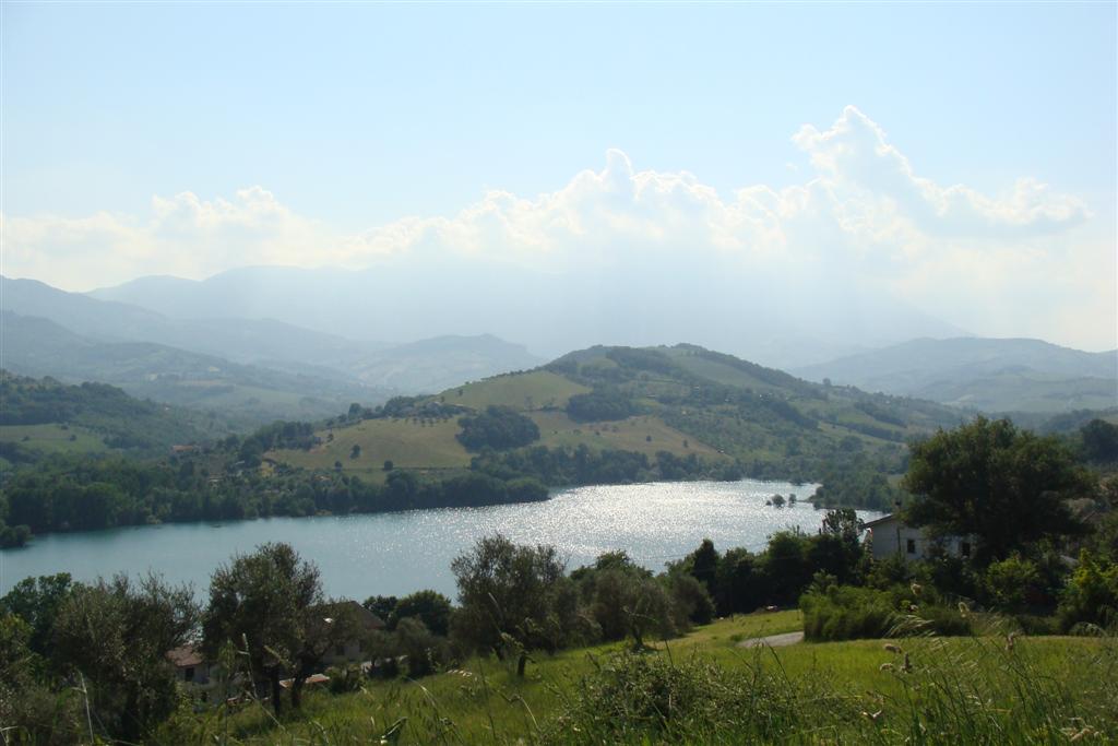 - image: 16