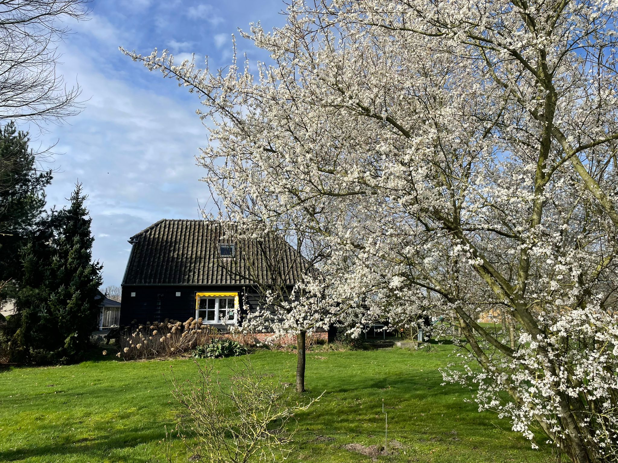 Casa nella natura a Bergeijk