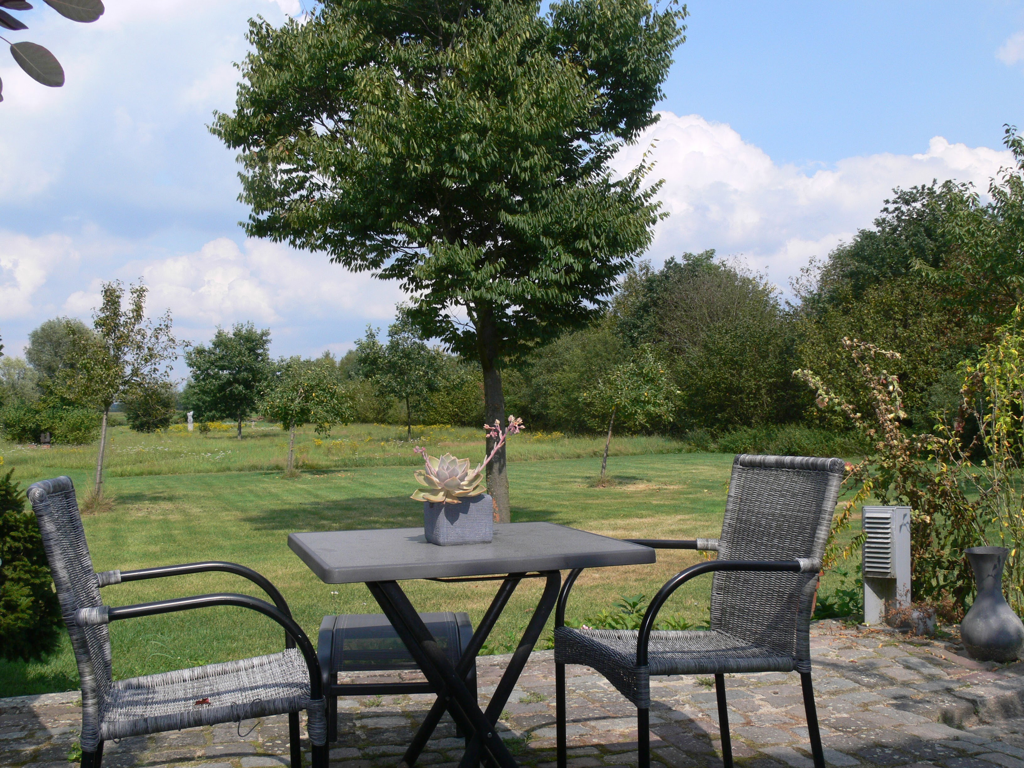 Maison nature à Bergeijk