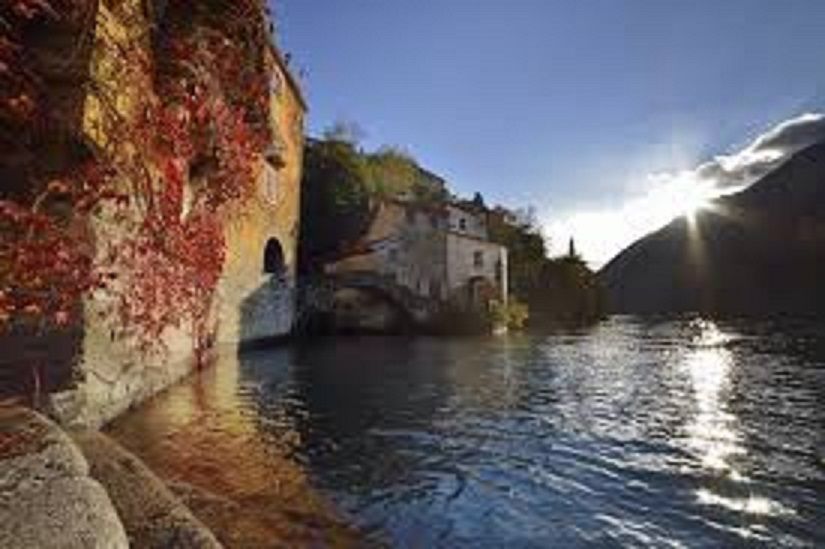 - image: 71