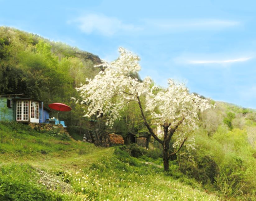 Maison nature à La Bastide-Solages