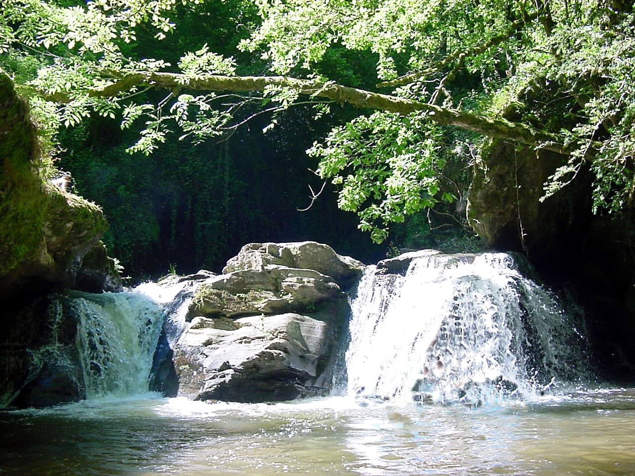 - image: 15