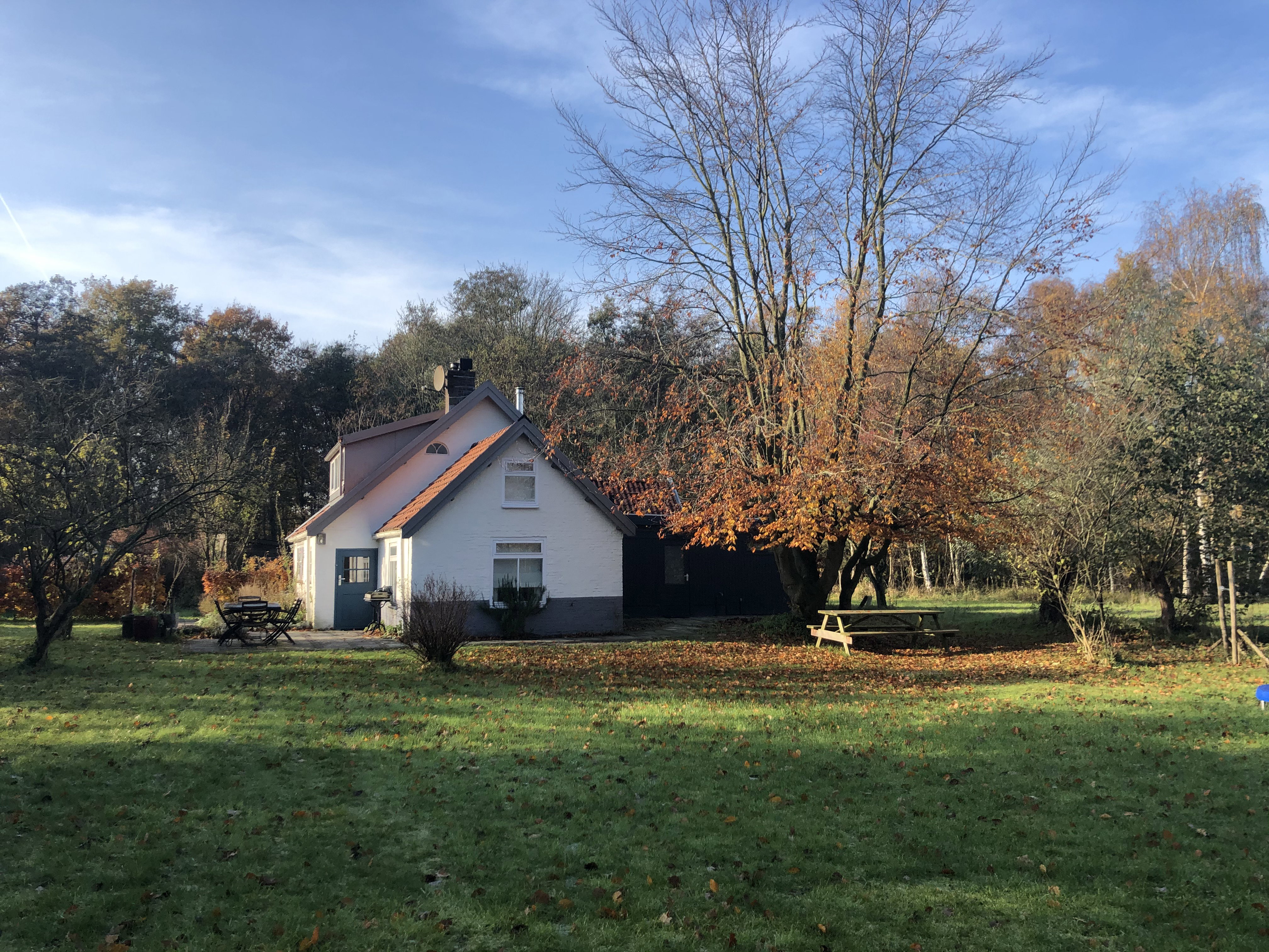 Natuurhuisje in Oostvoorne