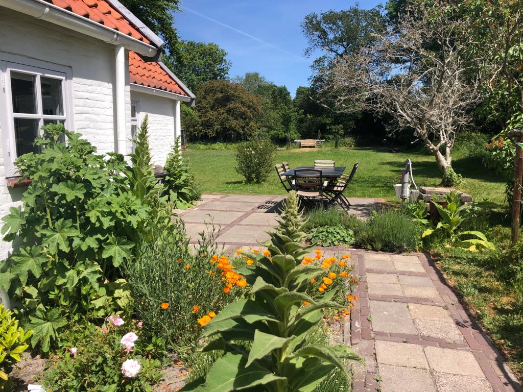 Natuurhuisje in Oostvoorne
