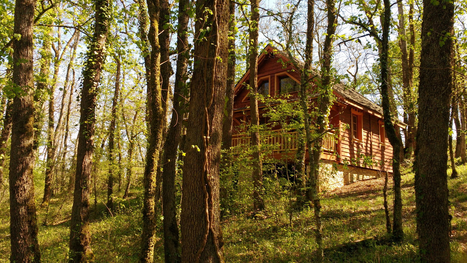 Maison nature à Lavercantiere