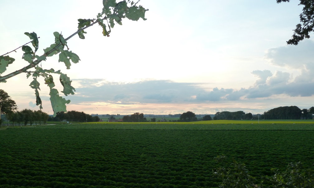 Casa nella natura a Ossendrecht