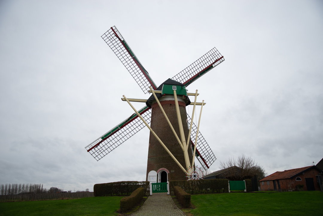 - image: 22