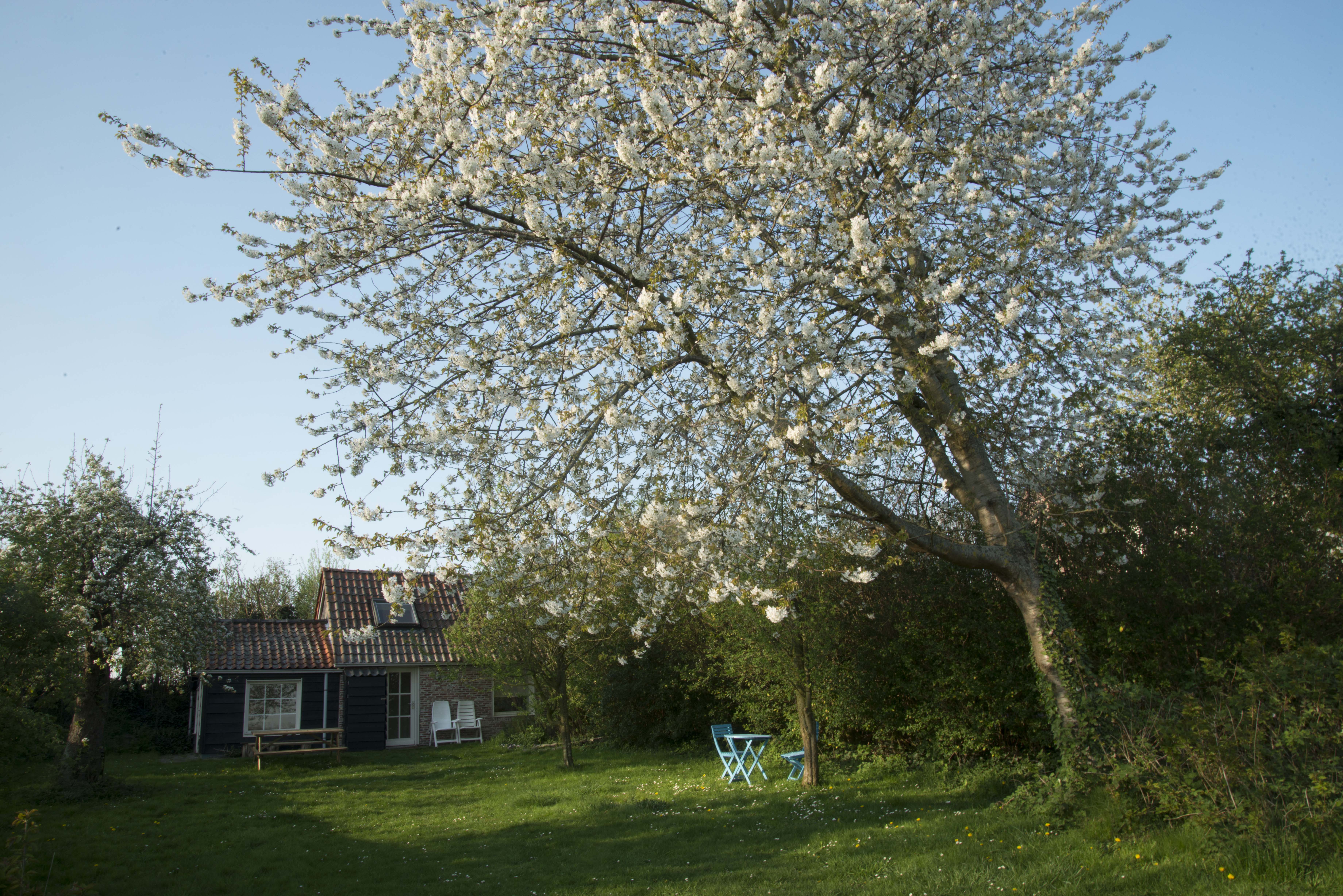 Maison nature à Walsoorden