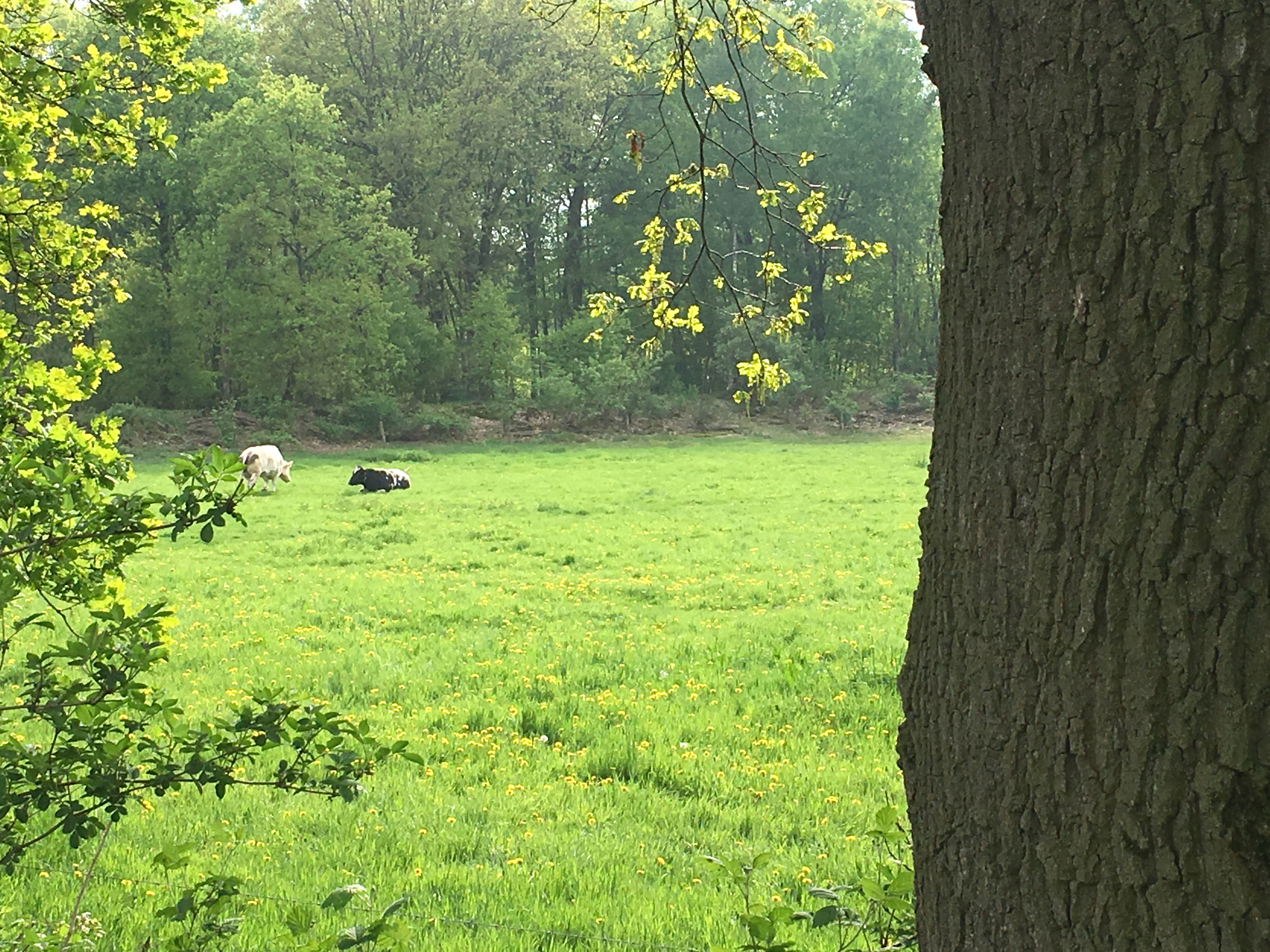 - image: 22