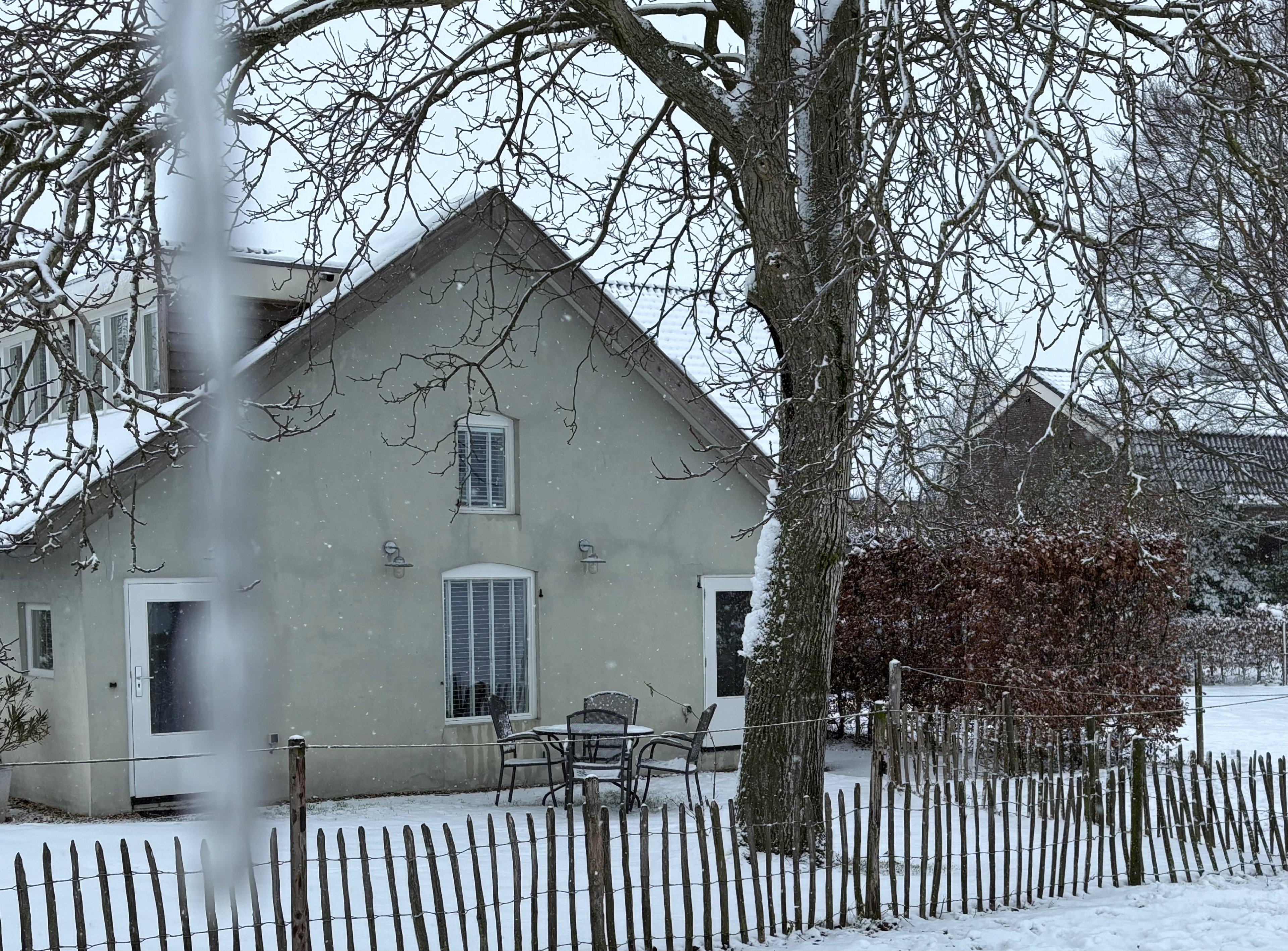 - image: 14