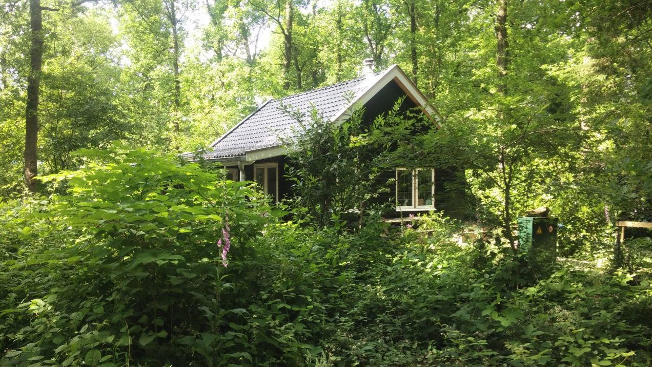 Natuurhuisje in Norg