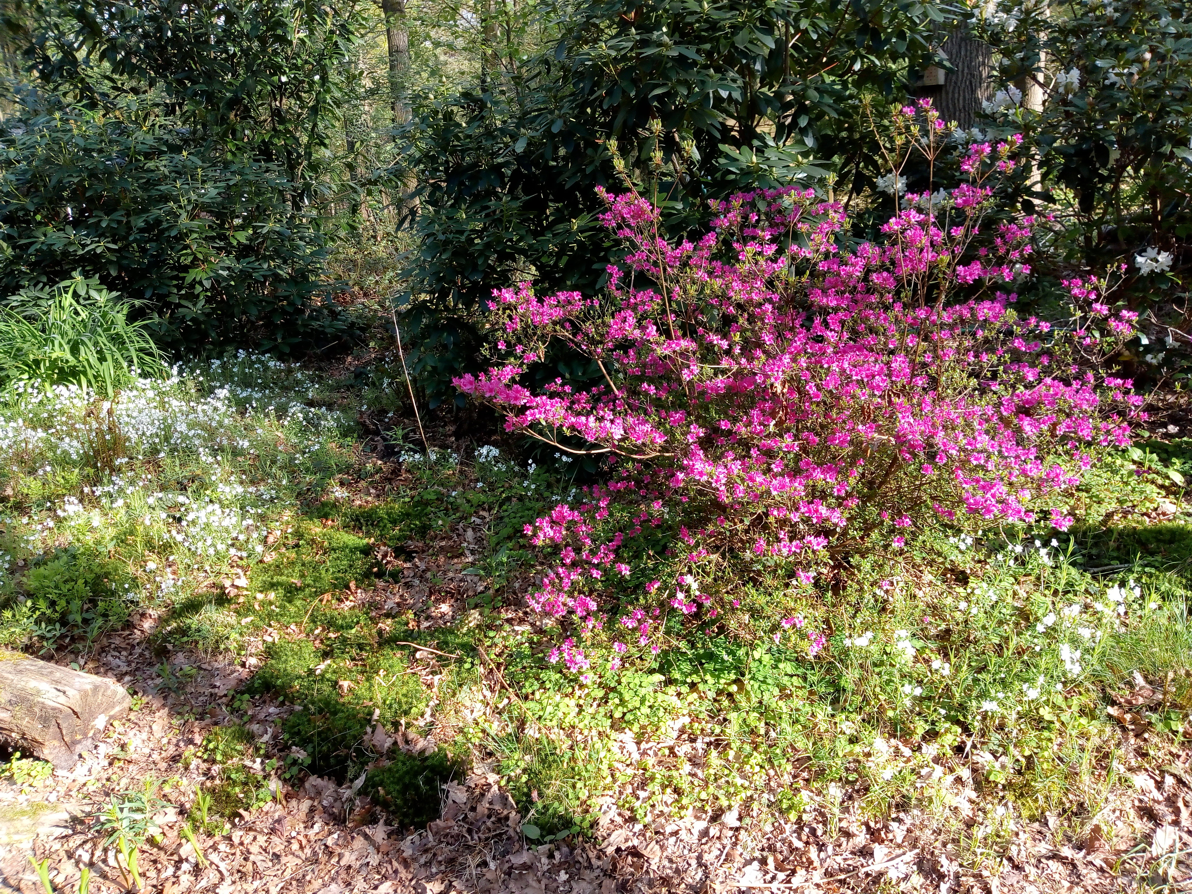 Naturhäuschen in Norg