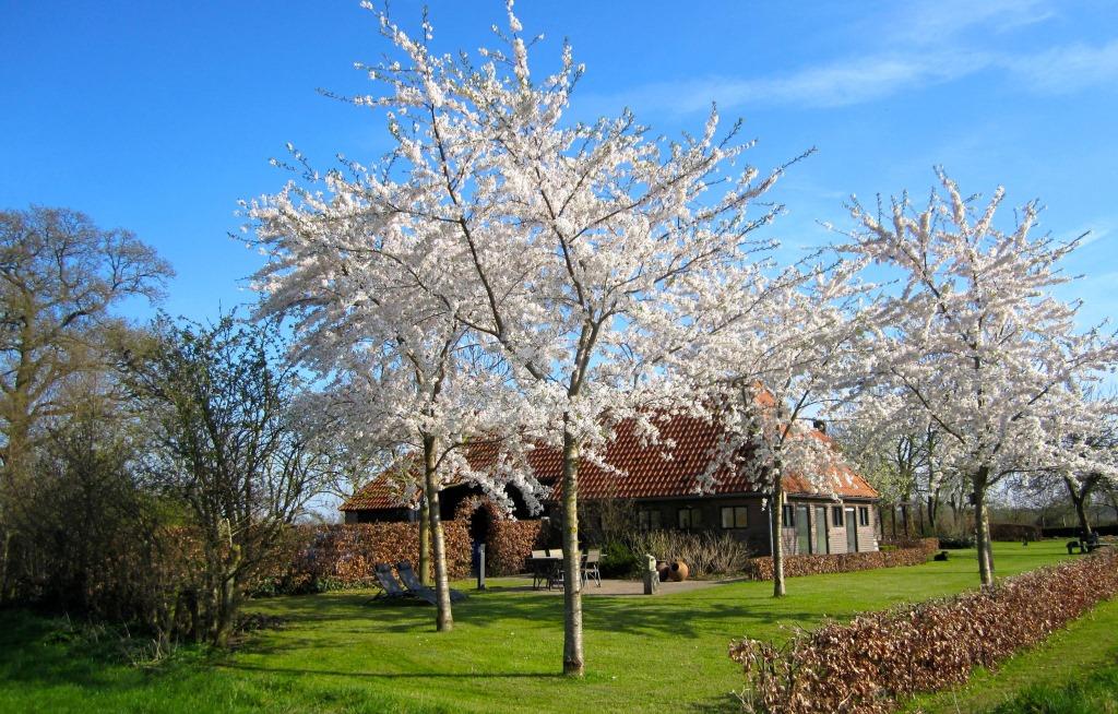 Naturhäuschen in Harfsen