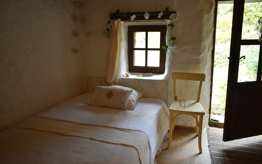 - image: 19