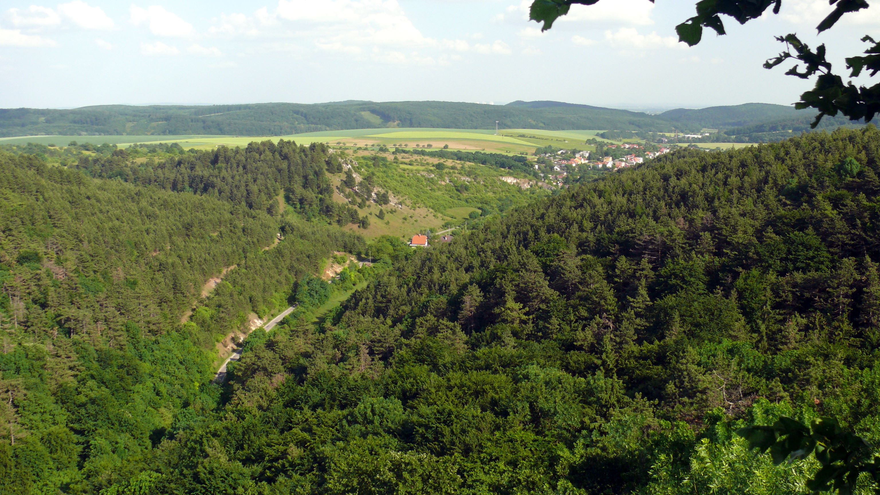- image: 14