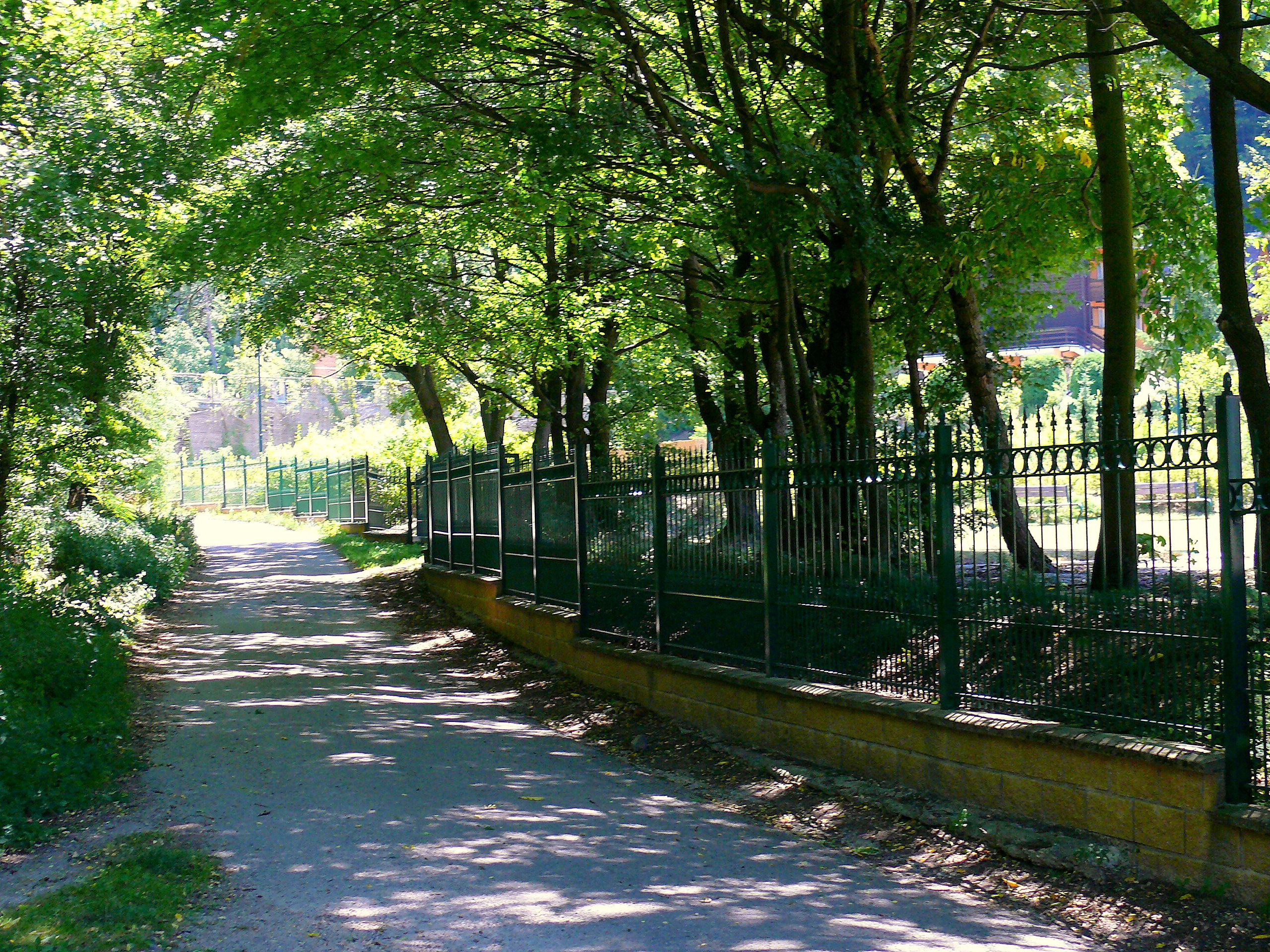 - image: 19