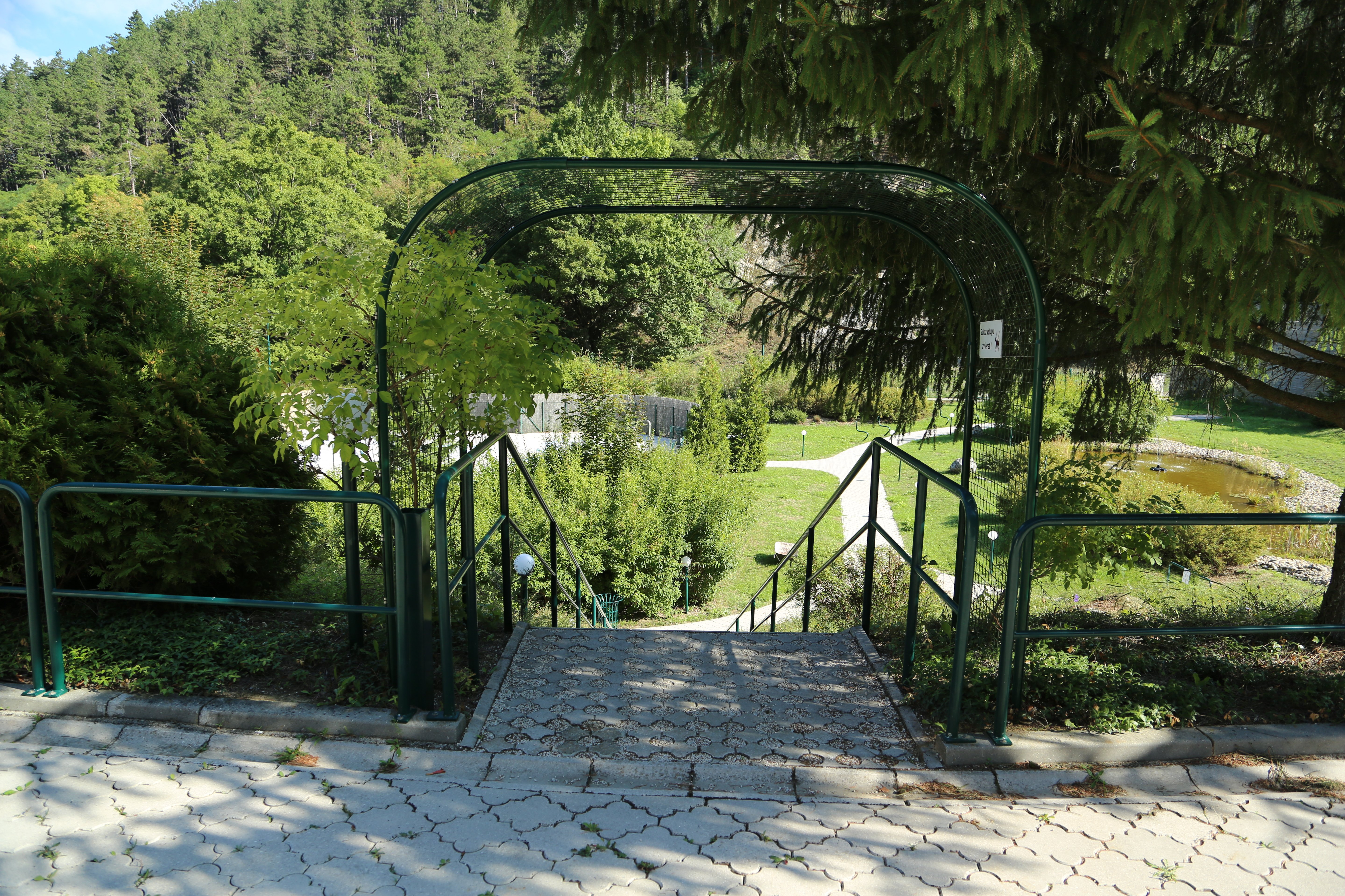 - image: 52