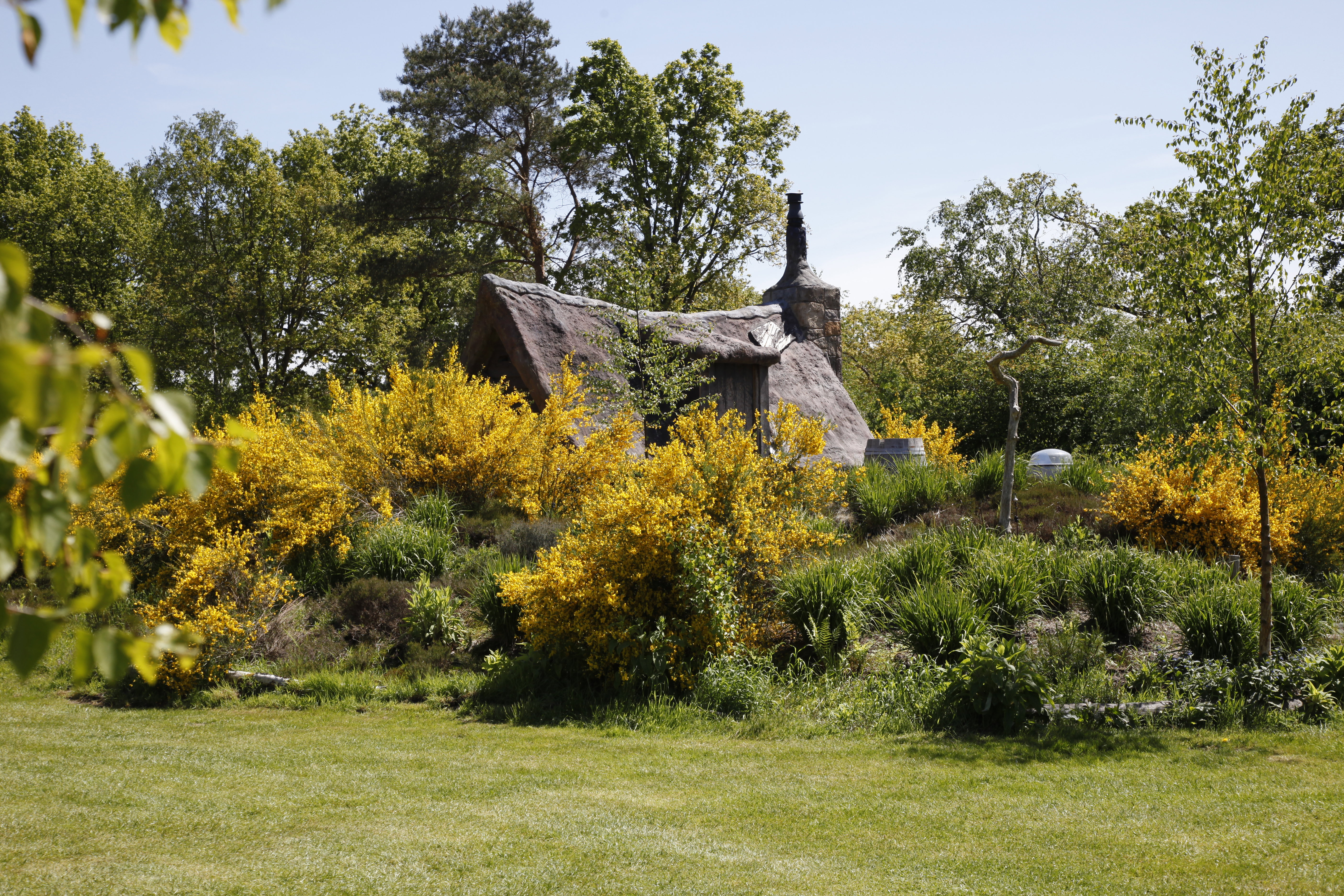 Maison nature à Uffelte