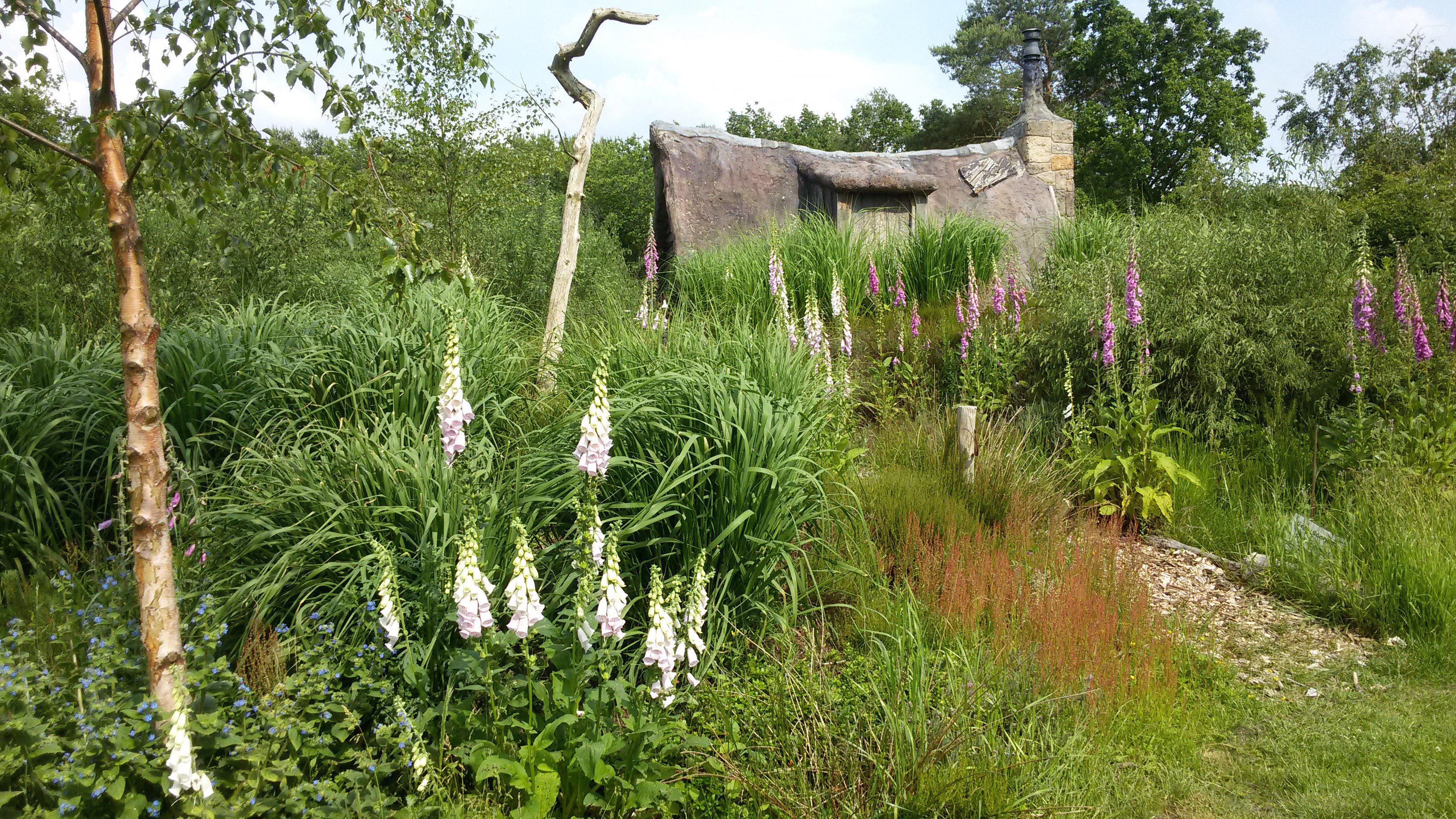 Maison nature à Uffelte