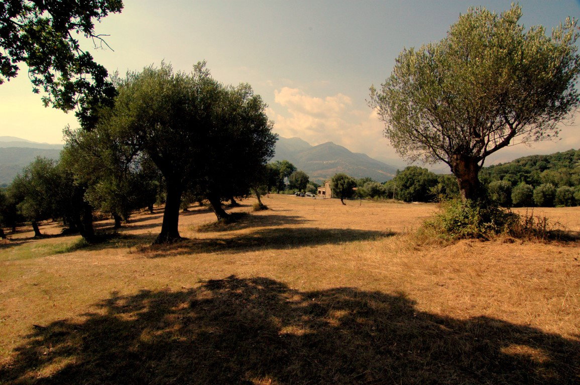 Maison nature à Roccagloriosa