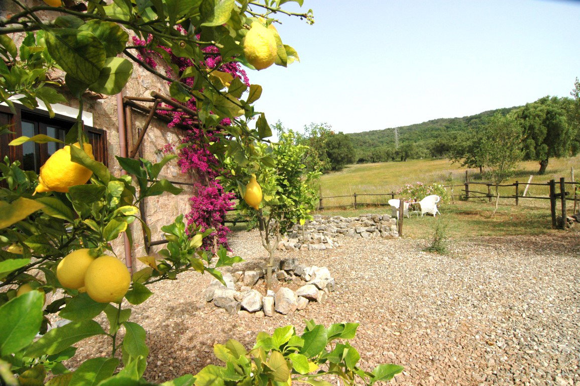 Maison nature à Roccagloriosa