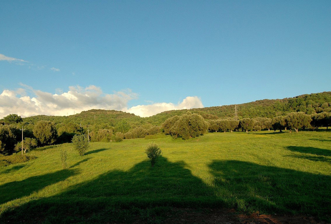 - image: 12