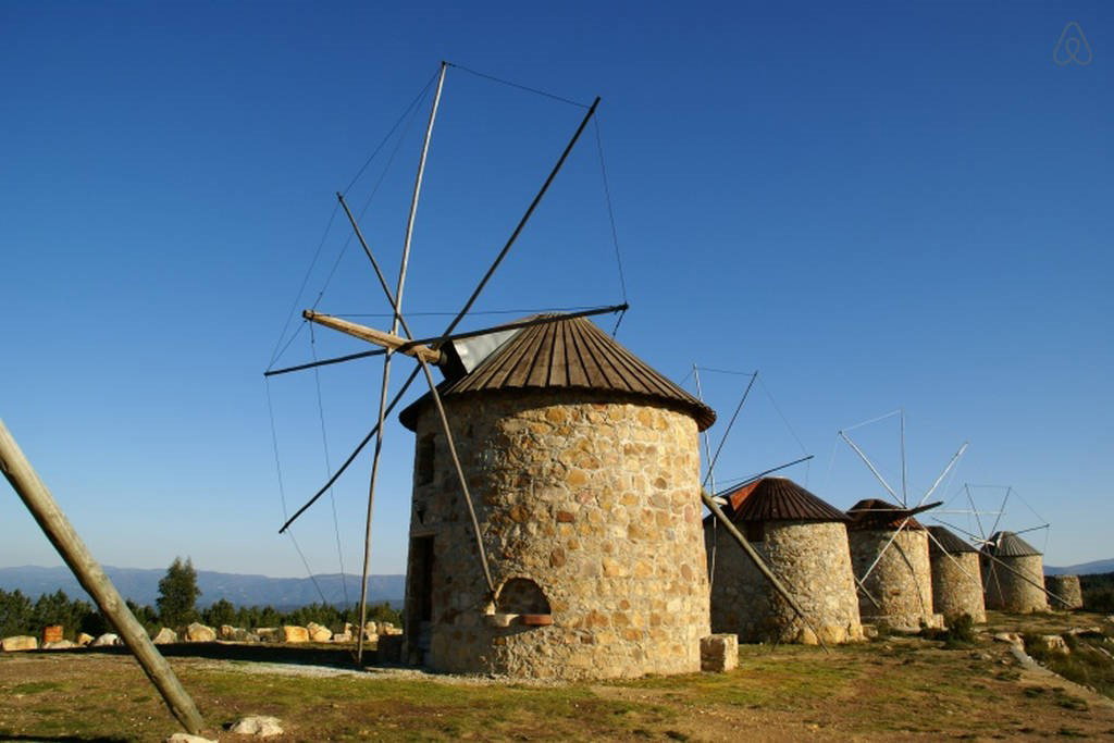 - image: 11