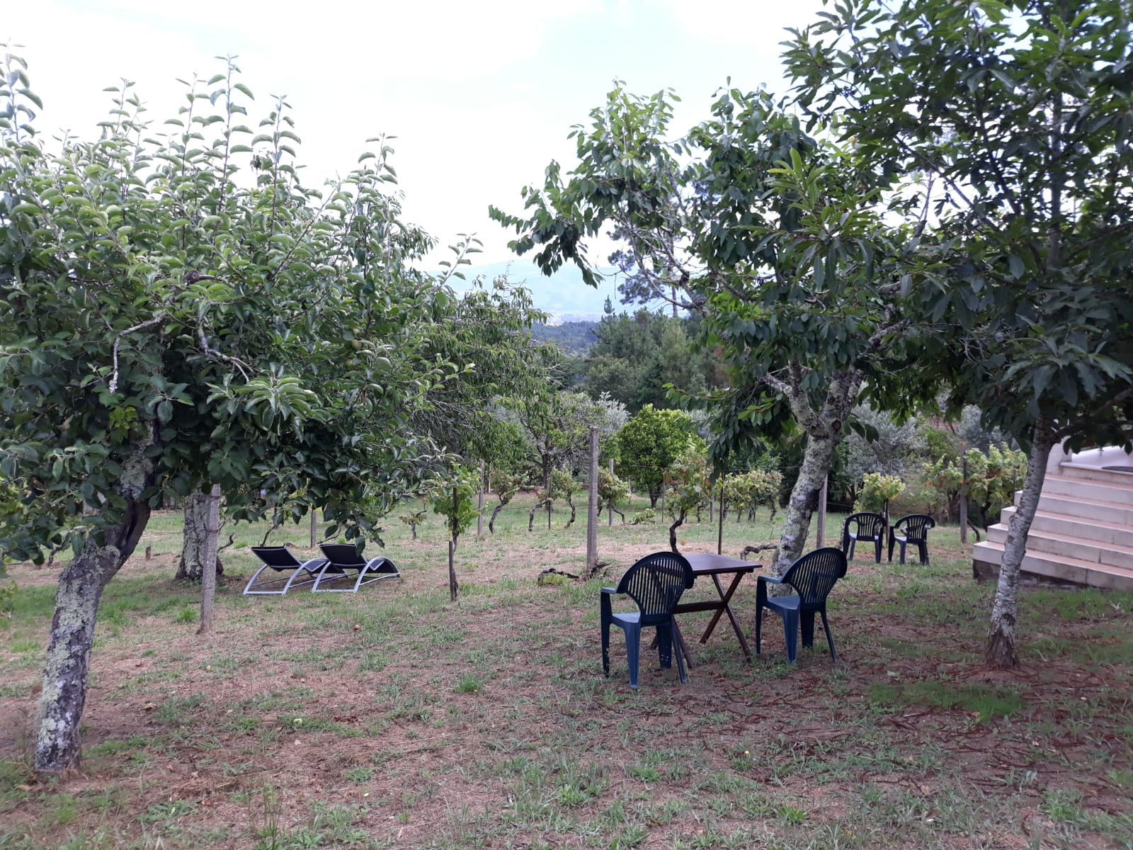 Naturhäuschen in Vila nova de poiares
