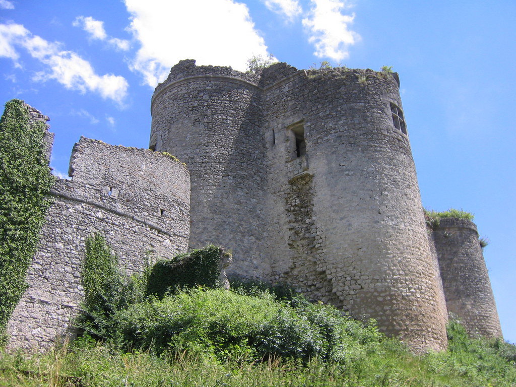 - image: 23