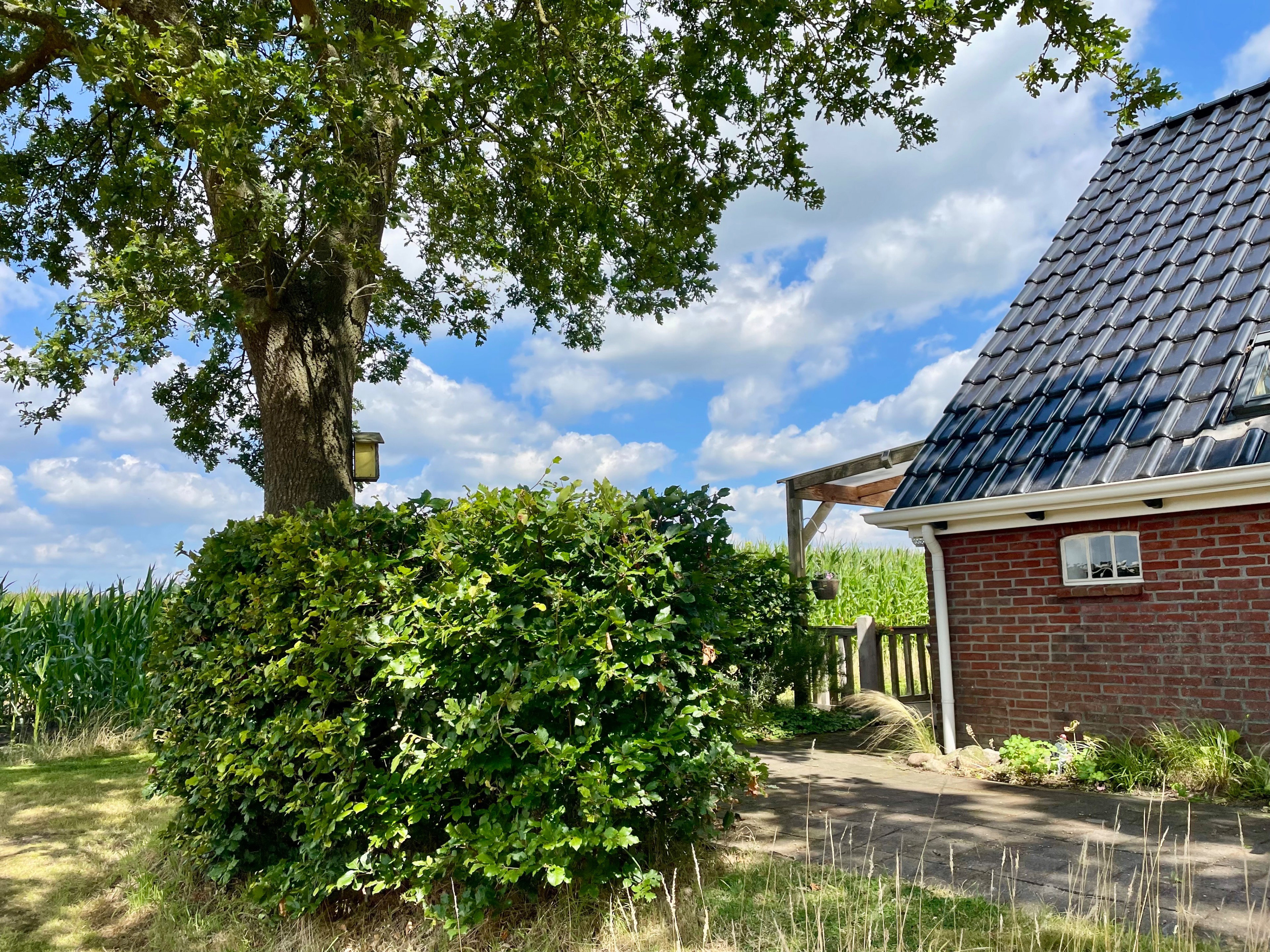 Casa nella natura a Eldersloo