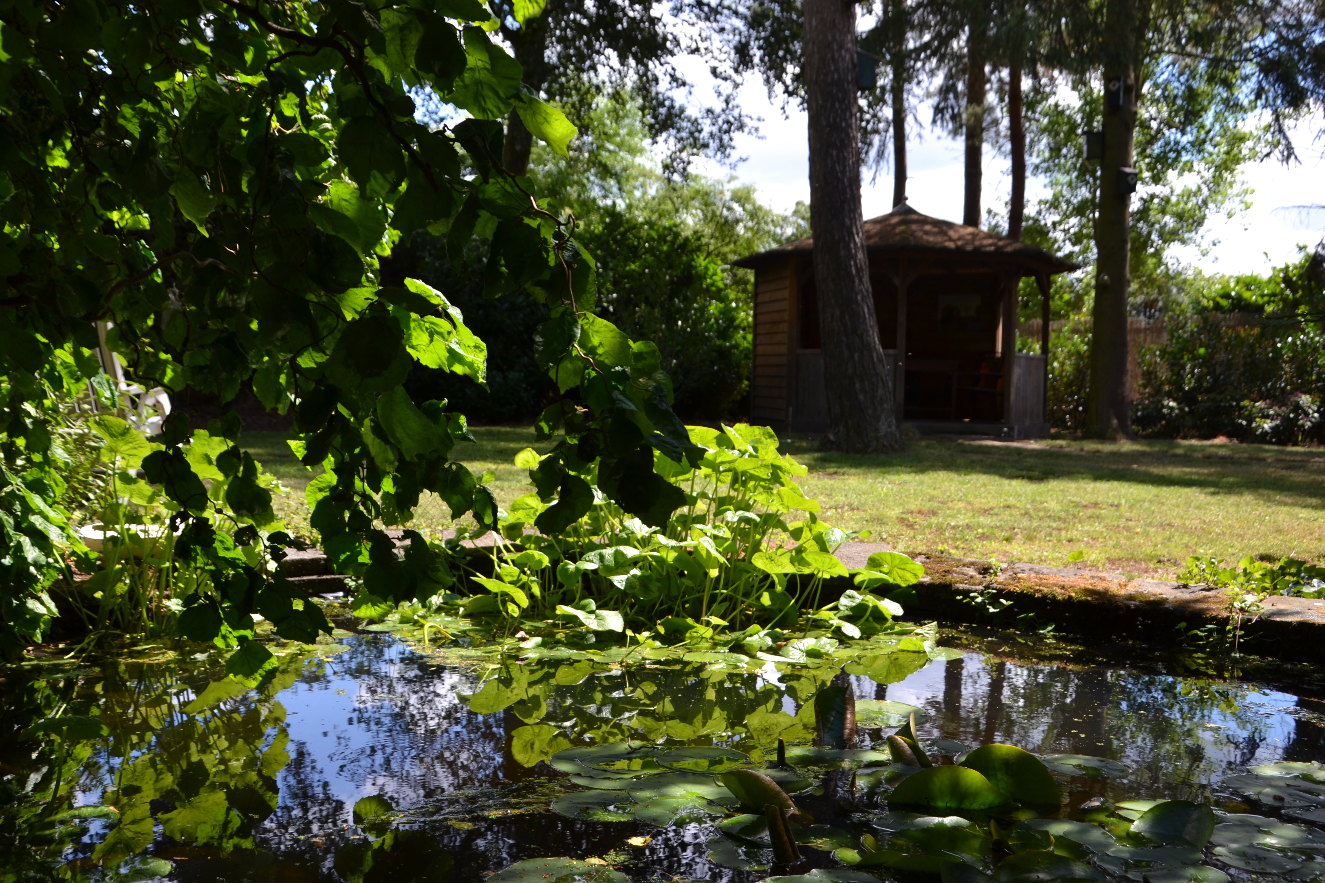 Naturhäuschen in Middelbeers