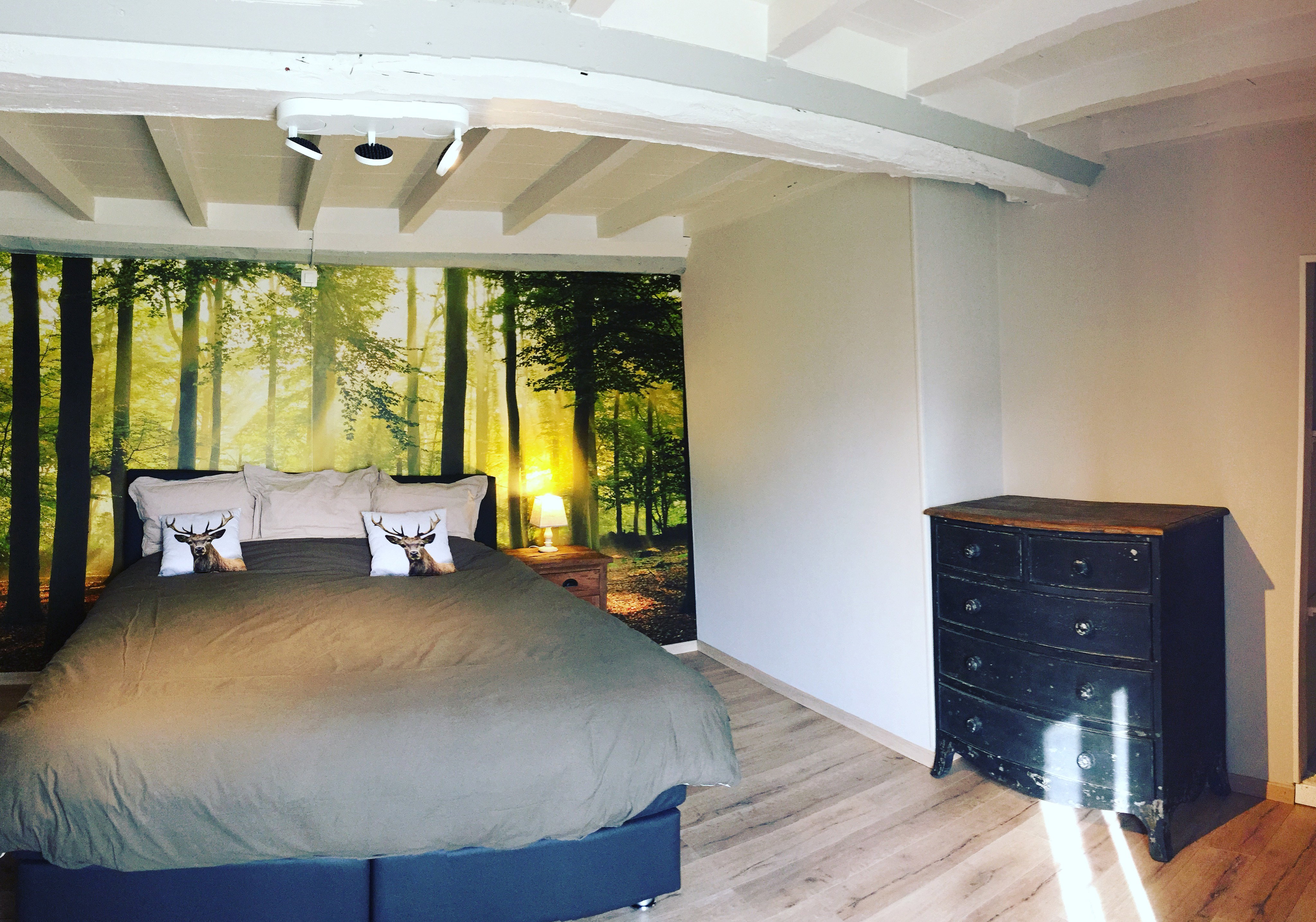 Natuurhuisje in Saint-denis-le-gast