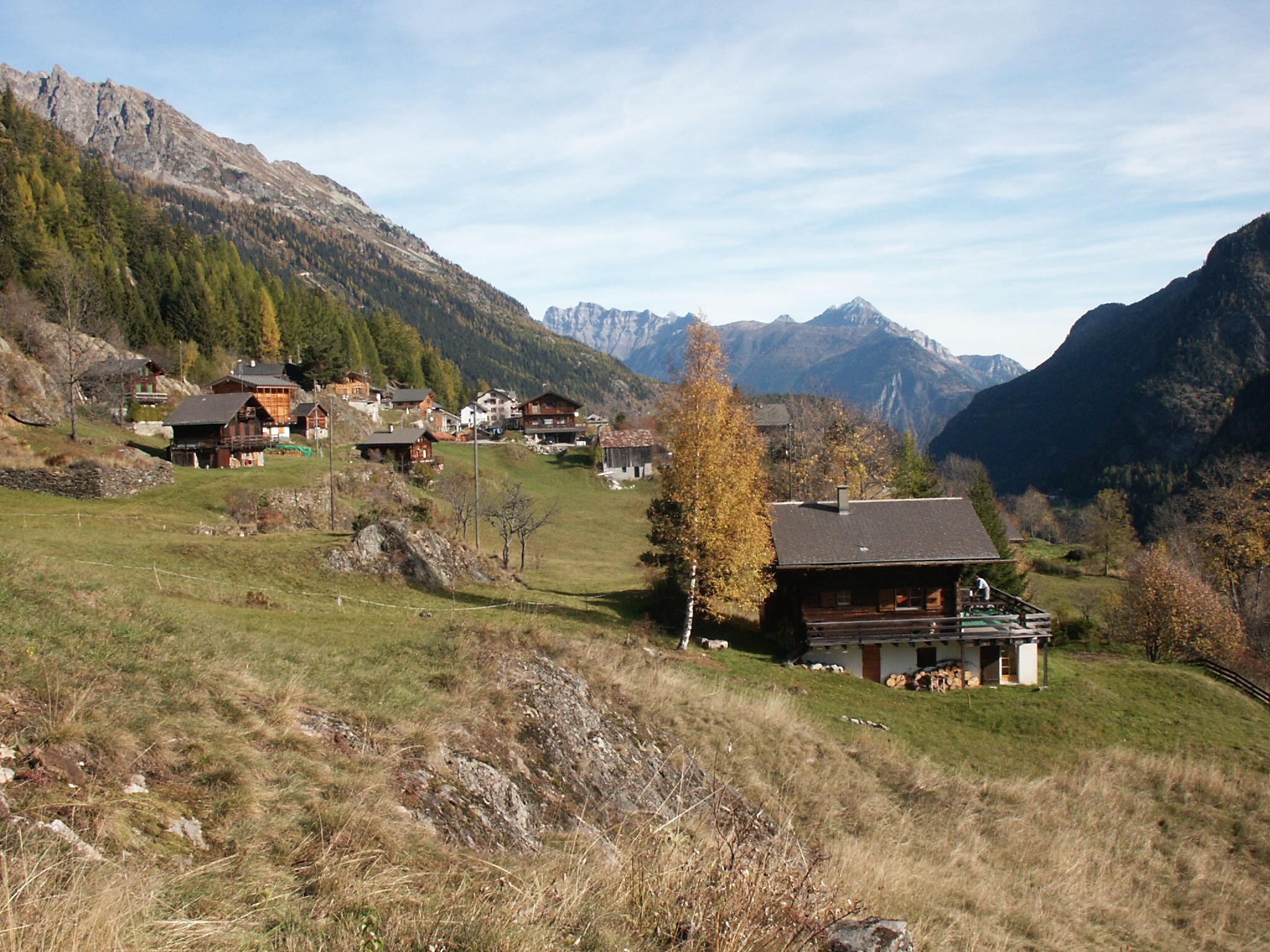 - image: 20