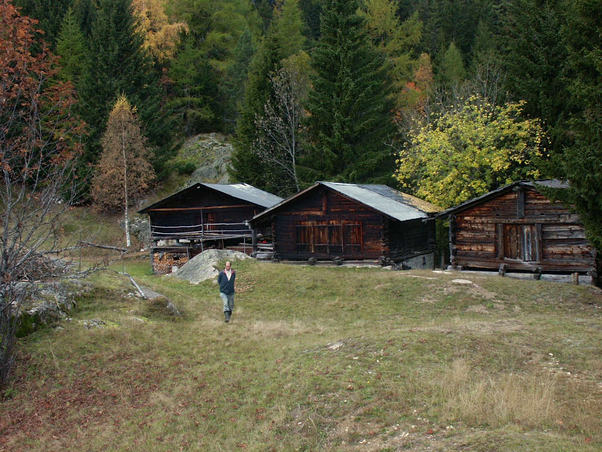 - image: 23