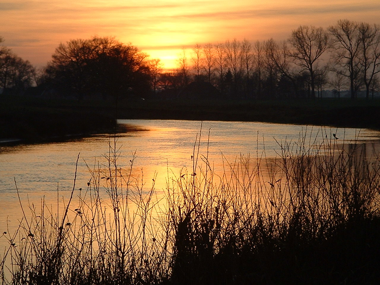 - image: 20
