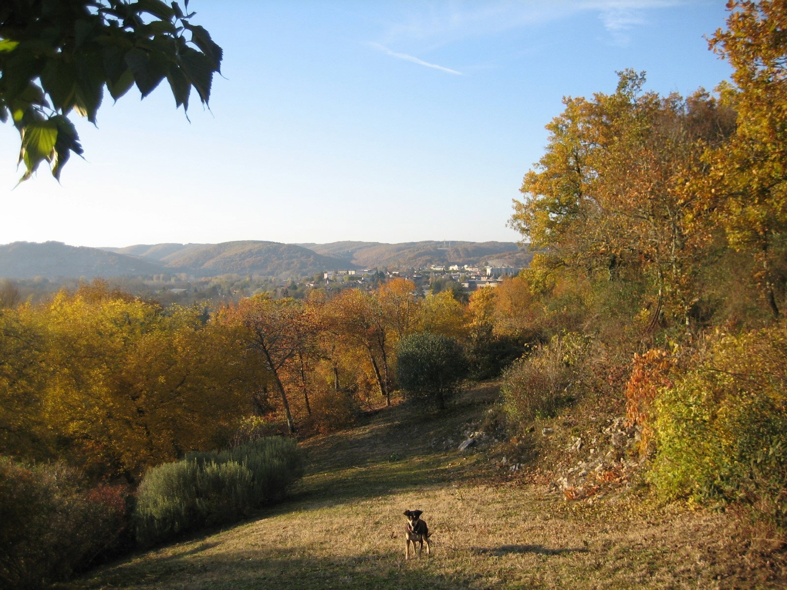 - image: 27