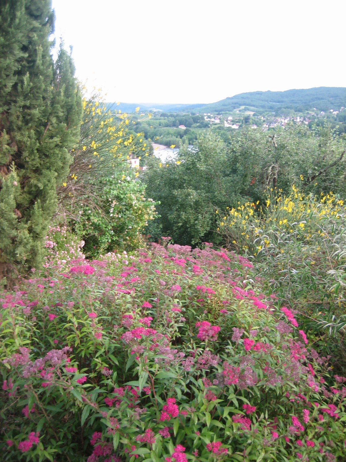 - image: 29