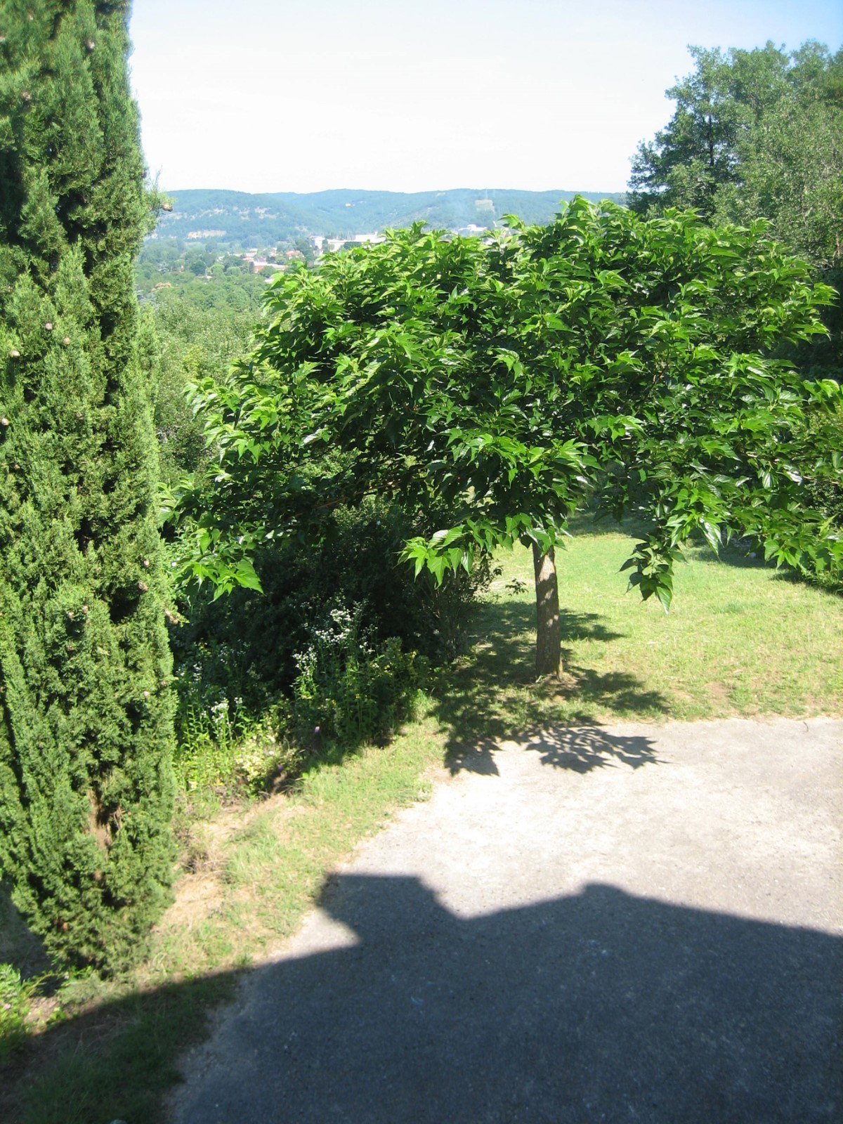 - image: 28