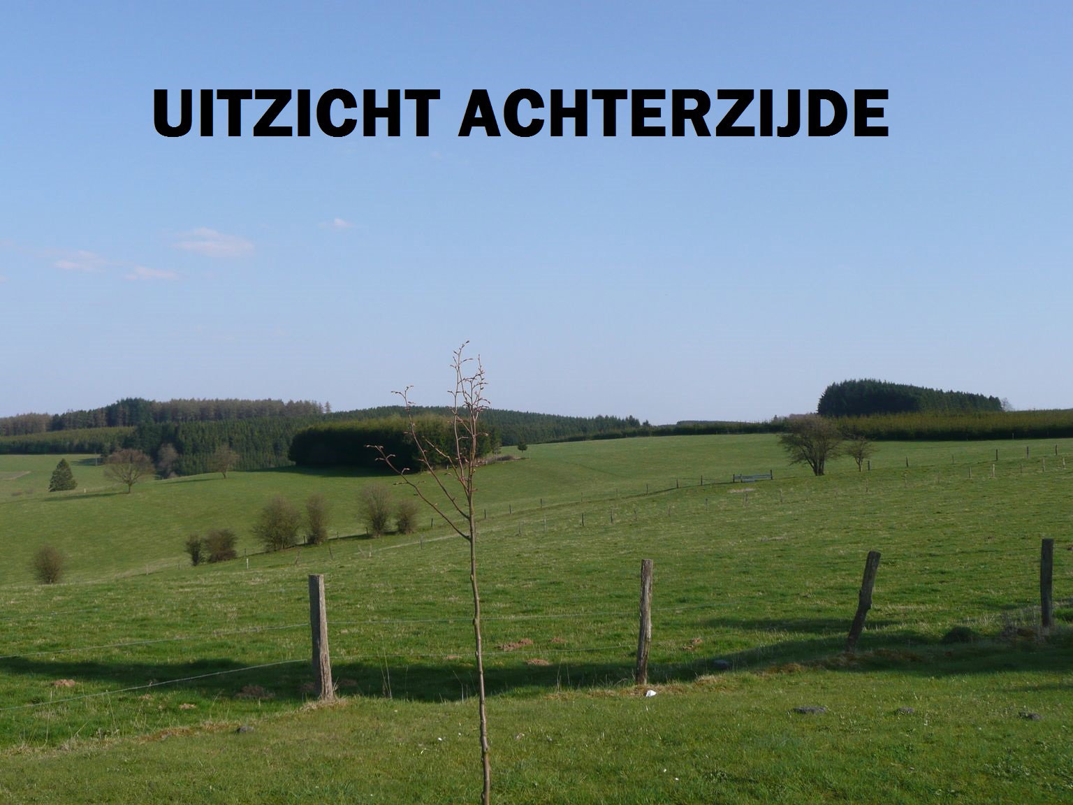 - image: 22