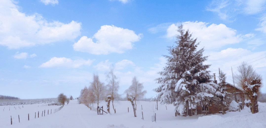 - image: 46
