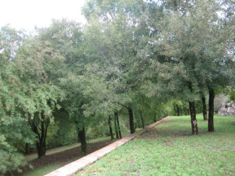 - image: 20